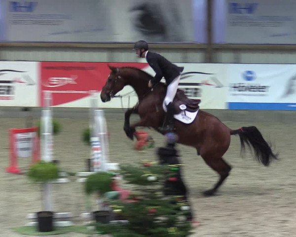 Reitturnier Negernbötel 2020, 5. Nordic Jumping event 2020/2021