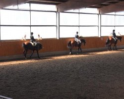 dressage horse Liadora (Westphalian, 2008, from Lugato)