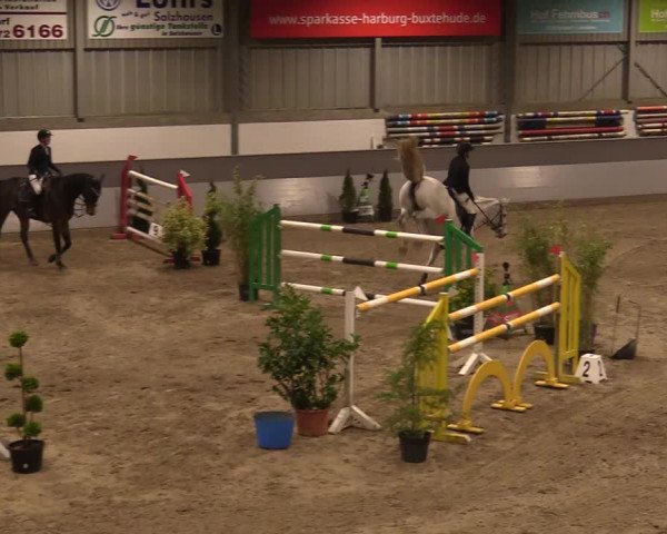 Reitturnier Luhmühlen 2020