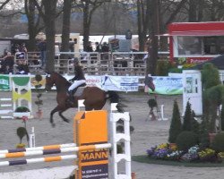 jumper Capitano (Westphalian, 2008, from Captain Fire)