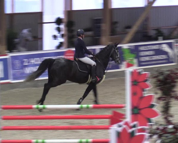Reitturnier Negernbötel 2020, 5. Nordic Jumping event 2020/2021