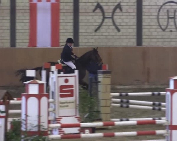 jumper Fiodora 18 (Westphalian, 2008, from Fidertanz)