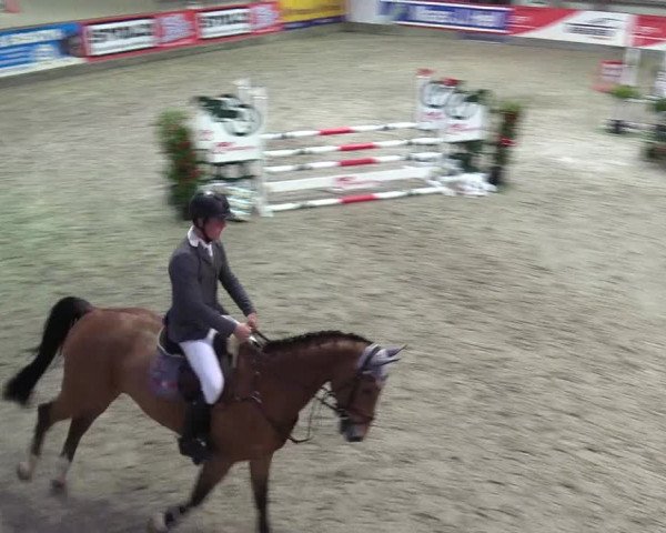 Reitturnier Negernbötel 2020, 5. Nordic Jumping event 2020/2021
