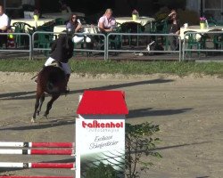 Dressurpferd Best Secret 3 (Westfale, 2008, von Bestseller)