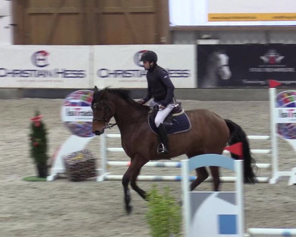 Reitturnier Negernbötel 2020, 5. Nordic Jumping event 2020/2021