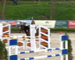 Zuchtstute Bienvenue T (KWPN (Niederländisches Warmblut), 2006, von Heartbreaker)