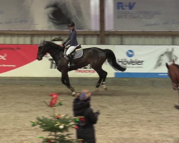 Reitturnier Negernbötel 2020, 5. Nordic Jumping event 2020/2021