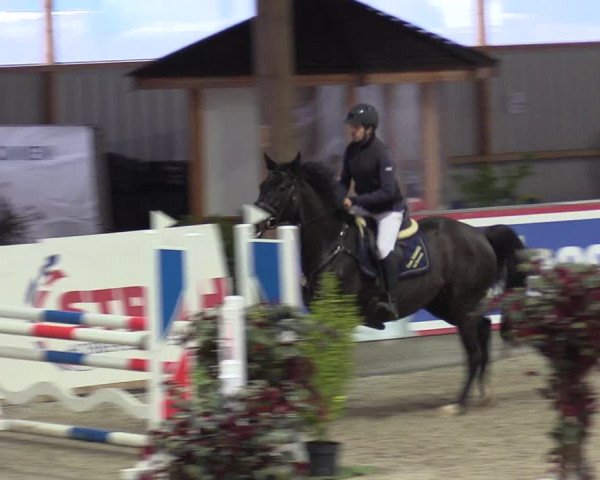 Reitturnier Negernbötel 2020, 5. Nordic Jumping event 2020/2021