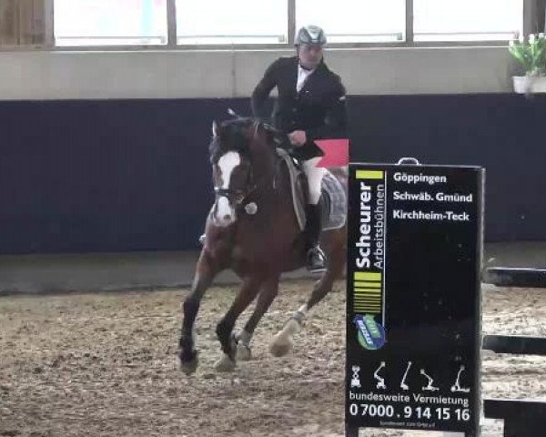 jumper Lorbas 281 (Oldenburg, 2008, from Lordanos)