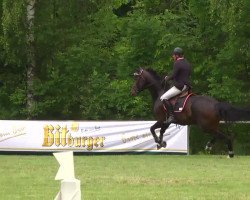 Cavallo da salto Sami Junior (Württemberger, 2008, di Stalypso)