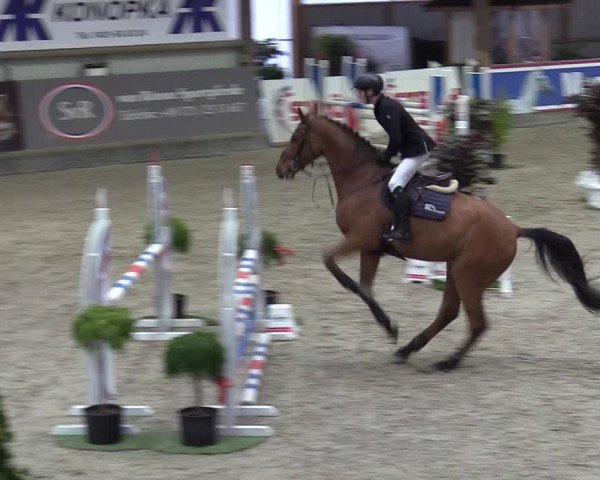 Reitturnier Negernbötel 2020, 5. Nordic Jumping event 2020/2021