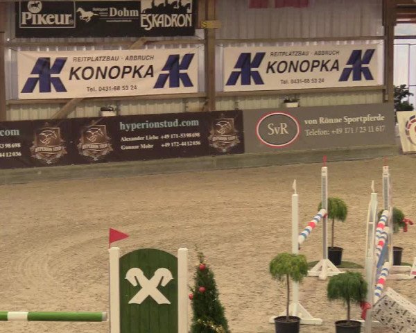 Reitturnier Negernbötel 2020, 5. Nordic Jumping event 2020/2021