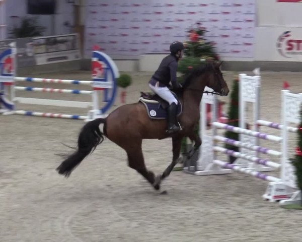 Reitturnier Negernbötel 2020, 5. Nordic Jumping event 2020/2021