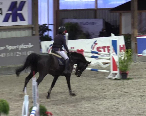 Reitturnier Negernbötel 2020, 5. Nordic Jumping event 2020/2021