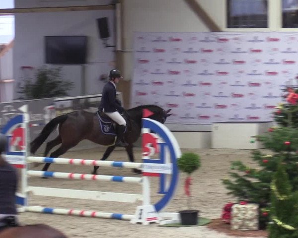 Reitturnier Negernbötel 2020, 5. Nordic Jumping event 2020/2021