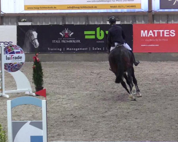 Reitturnier Negernbötel 2020, 5. Nordic Jumping event 2020/2021