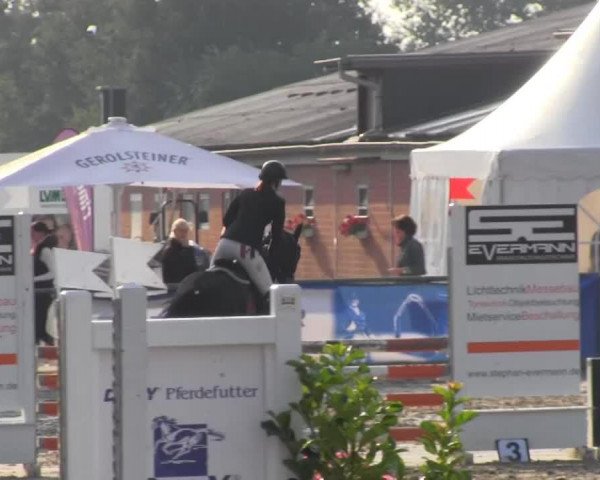 Springpferd Manitou 144 (Deutsches Reitpony, 2009, von Van Heinrich)