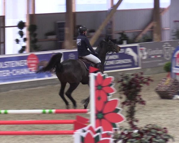 Reitturnier Negernbötel 2020, 5. Nordic Jumping event 2020/2021