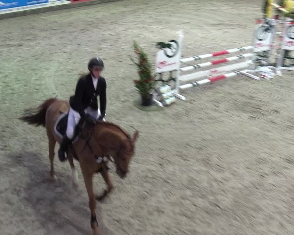 Reitturnier Negernbötel 2020, 5. Nordic Jumping event 2020/2021