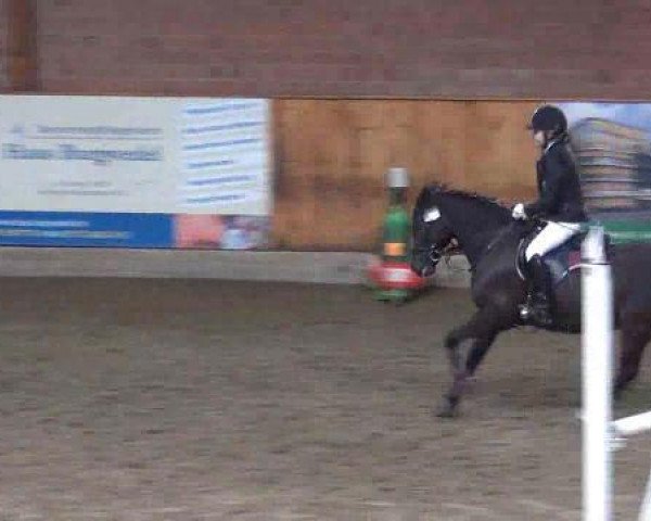 jumper Tokio 10 (unknown, 2005)
