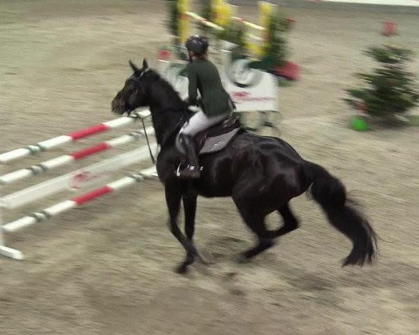 Reitturnier Negernbötel 2020, 5. Nordic Jumping event 2020/2021