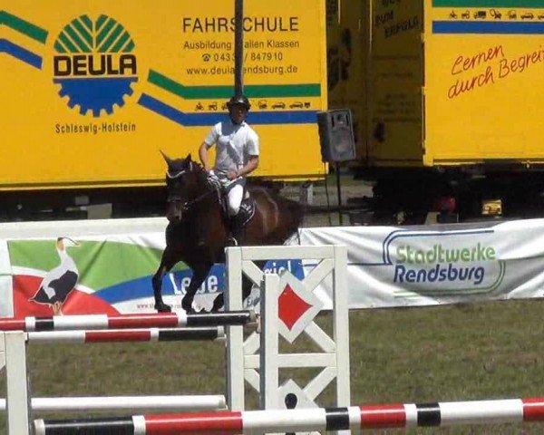 broodmare Zimmermadchen (Holsteiner, 2007, from Con Air)