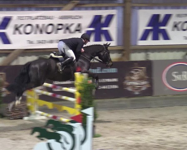 Reitturnier Negernbötel 2020, 5. Nordic Jumping event 2020/2021