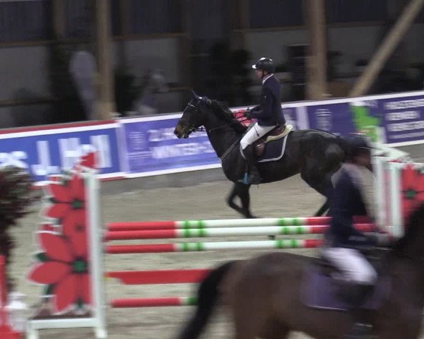 Reitturnier Negernbötel 2020, 5. Nordic Jumping event 2020/2021