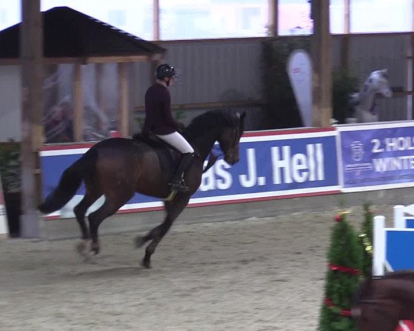 Reitturnier Negernbötel 2020, 5. Nordic Jumping event 2020/2021
