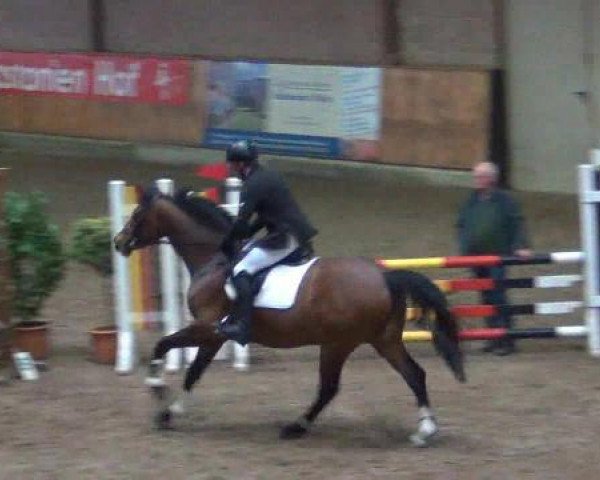 jumper Cisko 58 (Holsteiner, 2008, from Com Air I)
