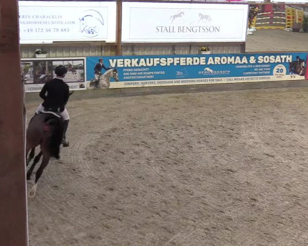 Reitturnier Negernbötel 2020, 5. Nordic Jumping event 2020/2021