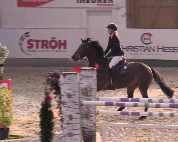 Reitturnier Negernbötel 2020, 5. Nordic Jumping event 2020/2021