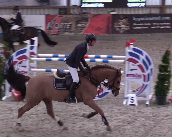 Reitturnier Negernbötel 2020, 5. Nordic Jumping event 2020/2021