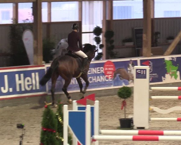 Reitturnier Negernbötel 2020, 5. Nordic Jumping event 2020/2021