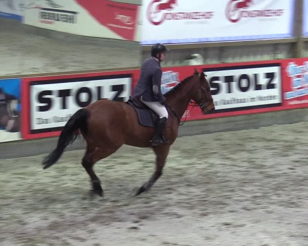Reitturnier Negernbötel 2020, 5. Nordic Jumping event 2020/2021