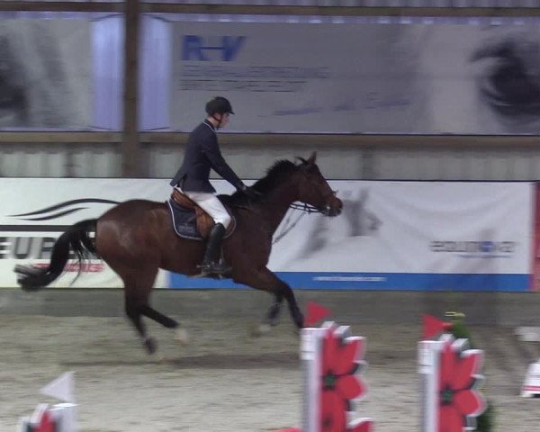 Reitturnier Negernbötel 2020, 5. Nordic Jumping event 2020/2021