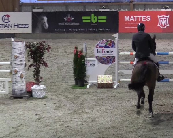 Reitturnier Negernbötel 2020, 5. Nordic Jumping event 2020/2021