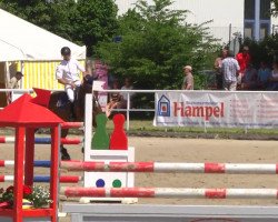 jumper Victor 155 (Hanoverian, 2008, from Valentino)