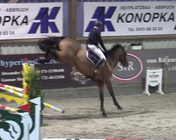 Reitturnier Negernbötel 2020, 5. Nordic Jumping event 2020/2021
