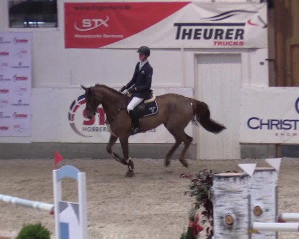 Reitturnier Negernbötel 2020, 5. Nordic Jumping event 2020/2021