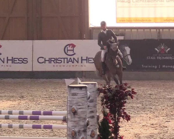 Reitturnier Negernbötel 2020, 5. Nordic Jumping event 2020/2021