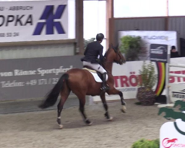 Reitturnier Negernbötel 2020, 5. Nordic Jumping event 2020/2021