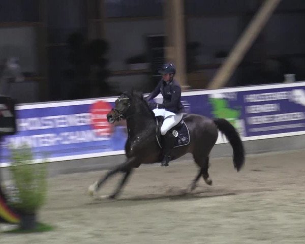 Reitturnier Negernbötel 2020, 5. Nordic Jumping event 2020/2021