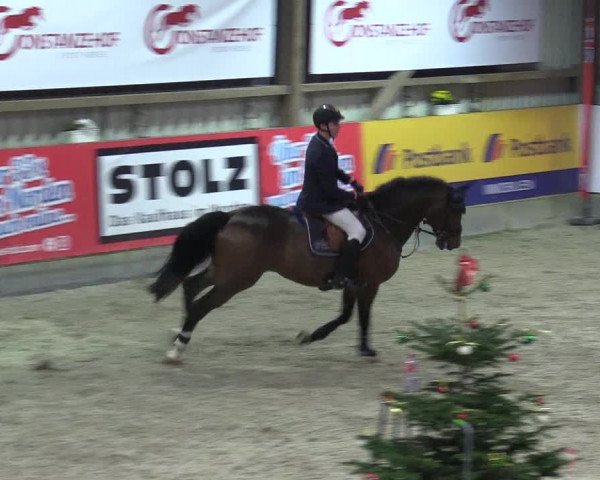 Reitturnier Negernbötel 2020, 5. Nordic Jumping event 2020/2021