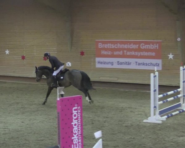 Reitturnier Paderborn 2020