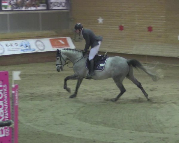 Reitturnier Paderborn 2020