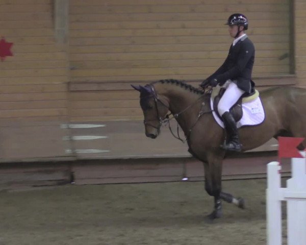 Reitturnier Paderborn 2020