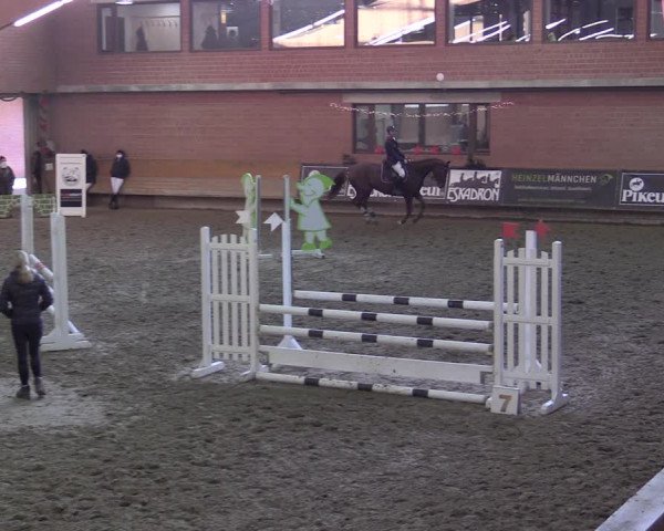 Reitturnier Paderborn 2020