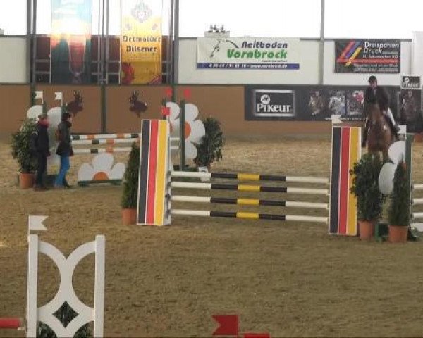 jumper Tacitus (Hanoverian, 2008)