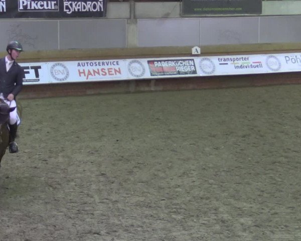 Reitturnier Paderborn 2020